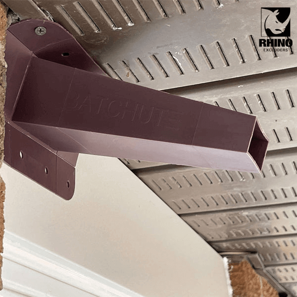 RHINO, BatChute Porte à Sens Unique pour Chauve-Souris à l'Intérieur | L'exterminateur en ligne