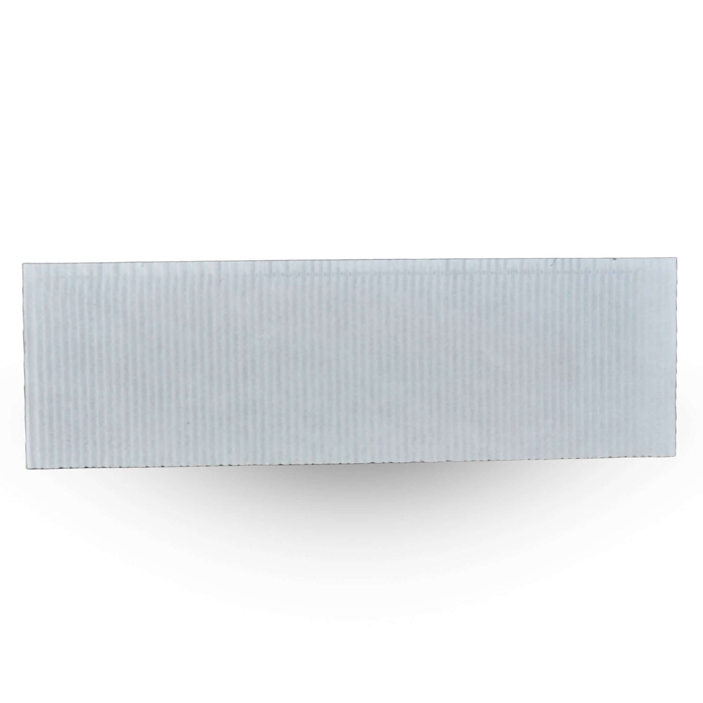 CATCHMASTER, Panneau de Colle pour Piège OVI-CATCH | L'exterminateur en ligne