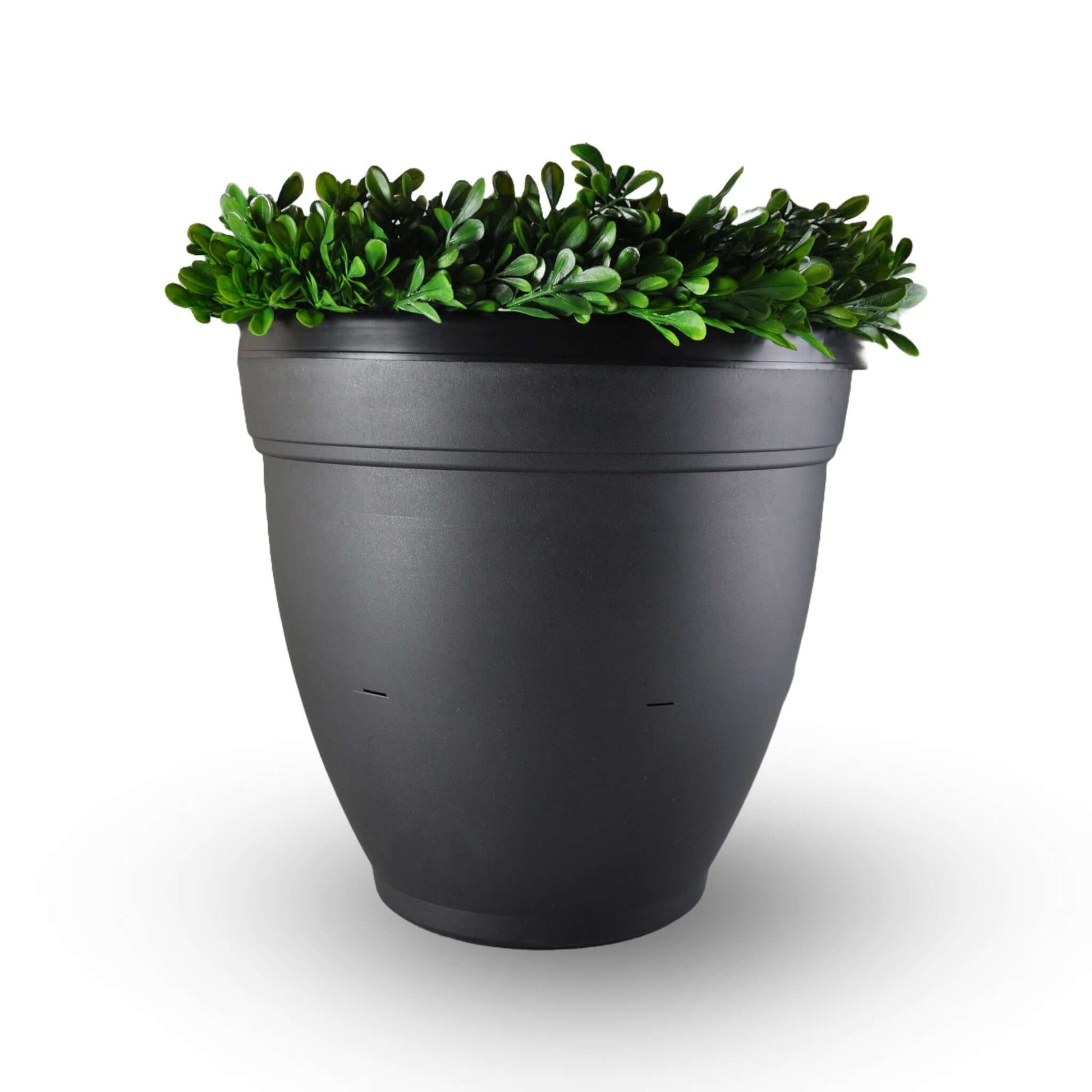 CATCHMASTER, Piège Innovant à Moustique Ovi-Planter Ago | L'exterminateur en ligne