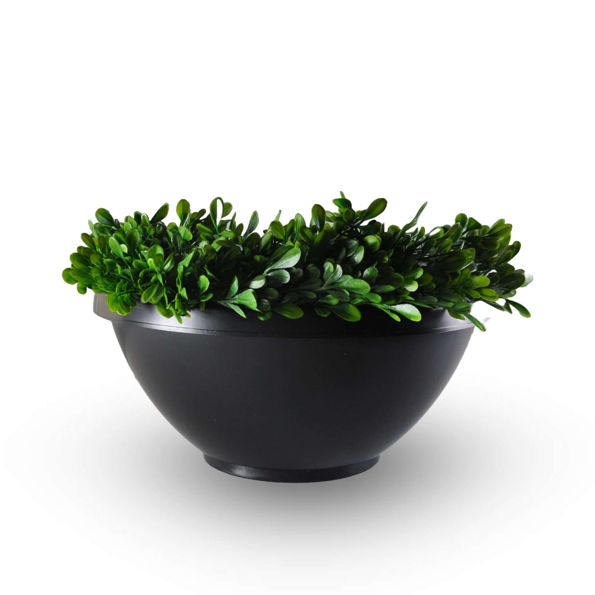 CATCHMASTER, Piège Innovant à Moustique Ovi-Planter Ago | L'exterminateur en ligne