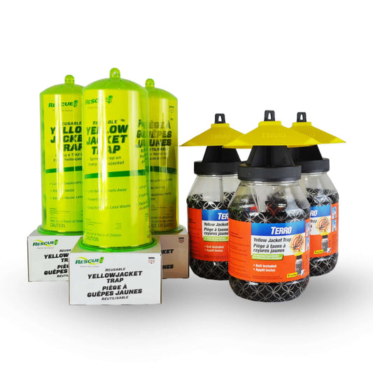 Ensemble Premium pour Élimination de Guêpes et Frelons | L'exterminateur en ligne