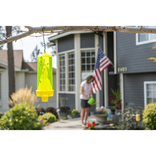 RESCUE, Rechange à Piège à Guêpes Réutilisable (4 semaines) | L'exterminateur en ligne