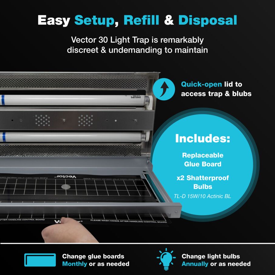 Catchmaster Vector 30 Piège lumineux  mouche