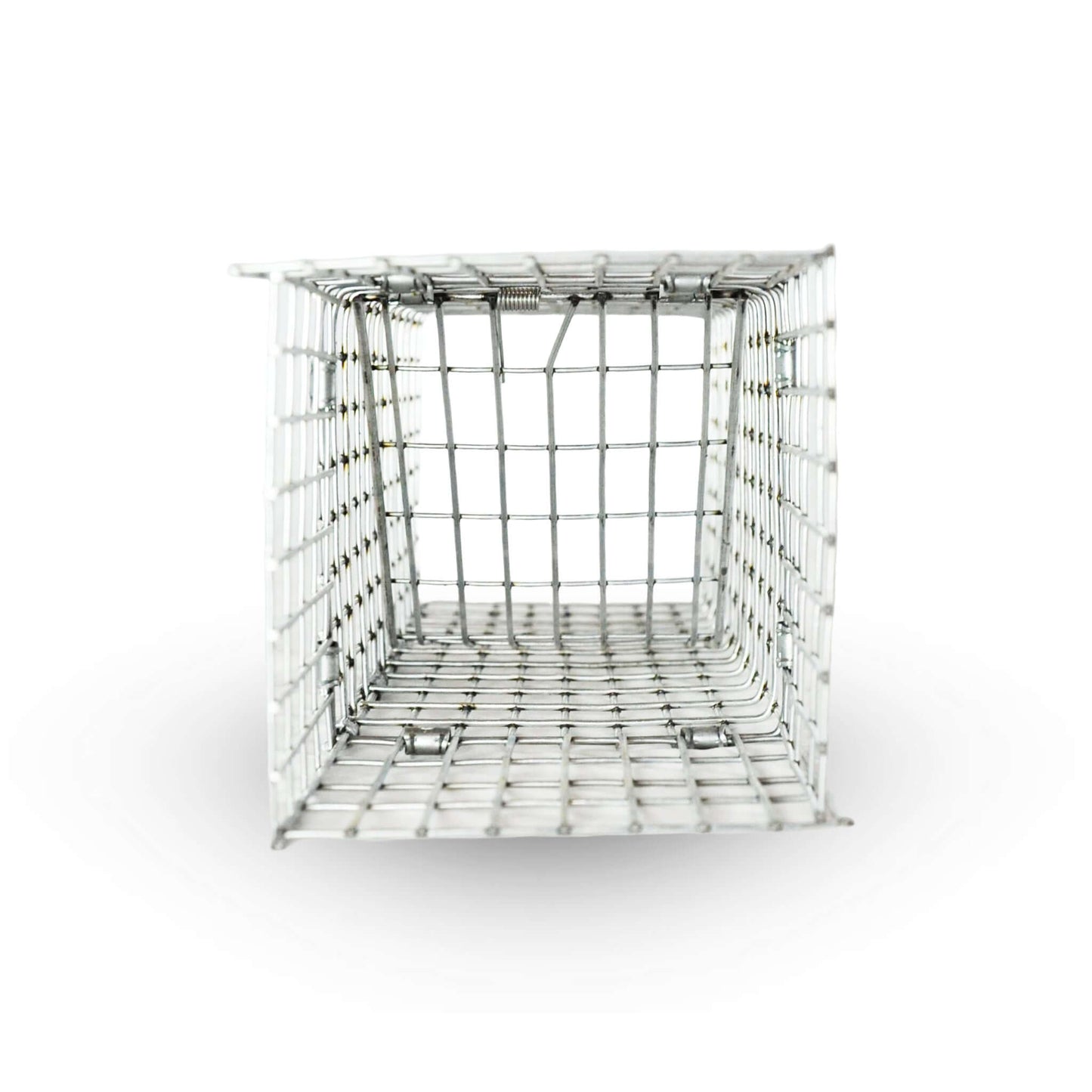 TOMAHAWK, Cage avec Porte à Sens Unique pour Gros Animaux Sauvages 14''X8''X8'' | L'exterminateur en ligne