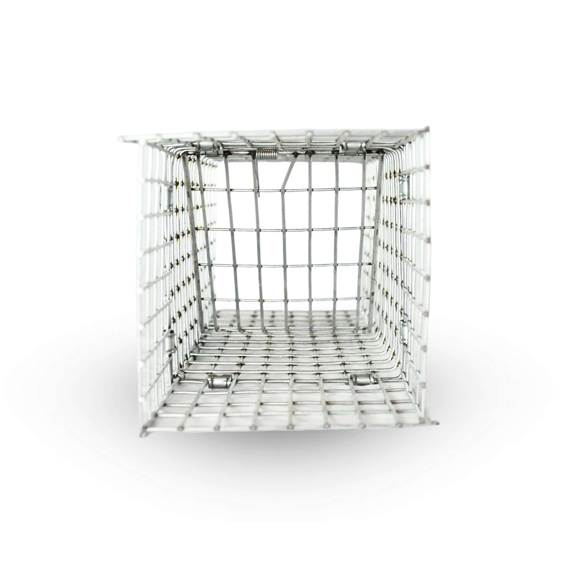 TOMAHAWK, Cage avec Porte à Sens Unique pour Gros Animaux Sauvages 14''X8''X8'' | L'exterminateur en ligne