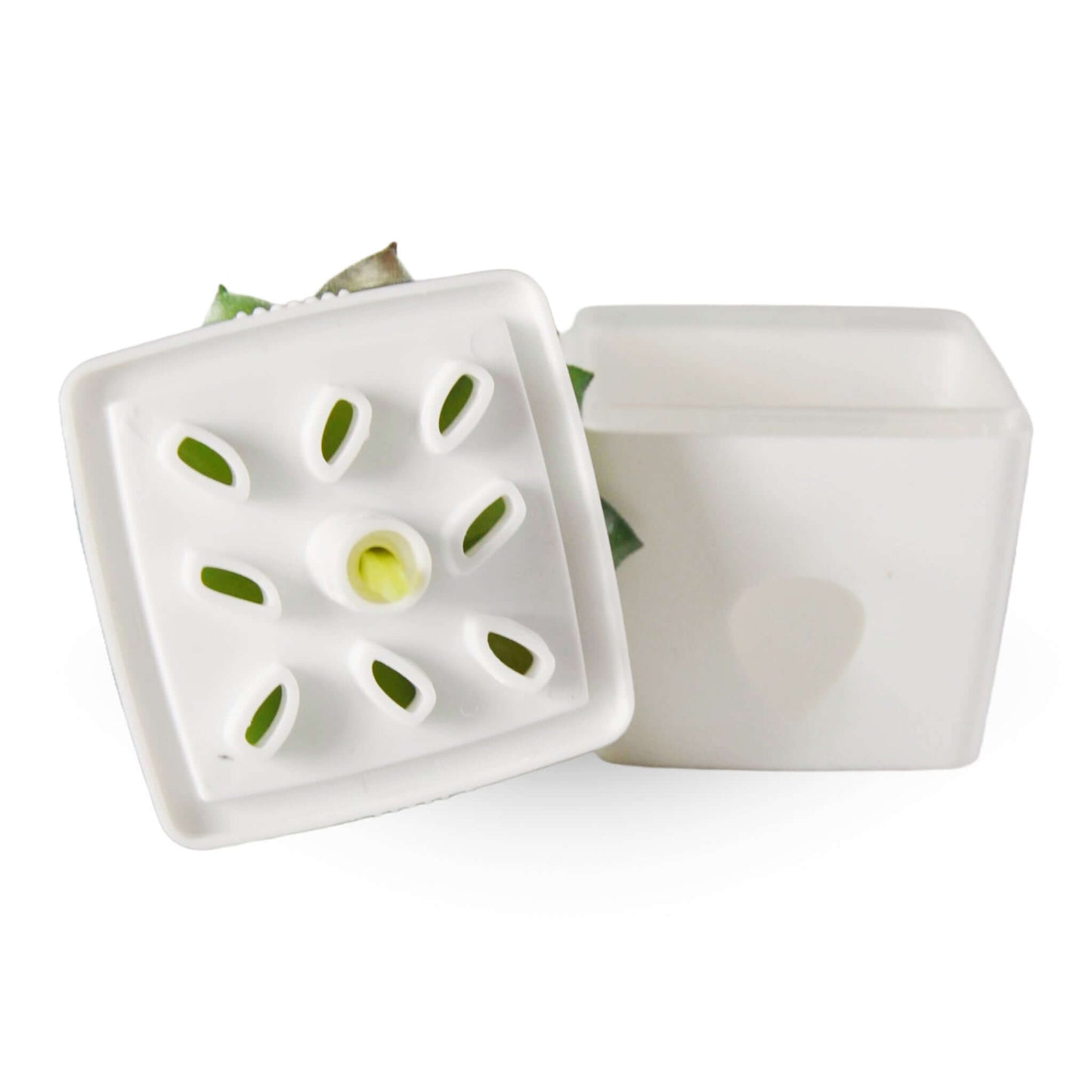 Zendozone Piège à Mouches à Fruits (1 piège + leurre 1,7 oz) 1818-TT | L'exterminateur en ligne