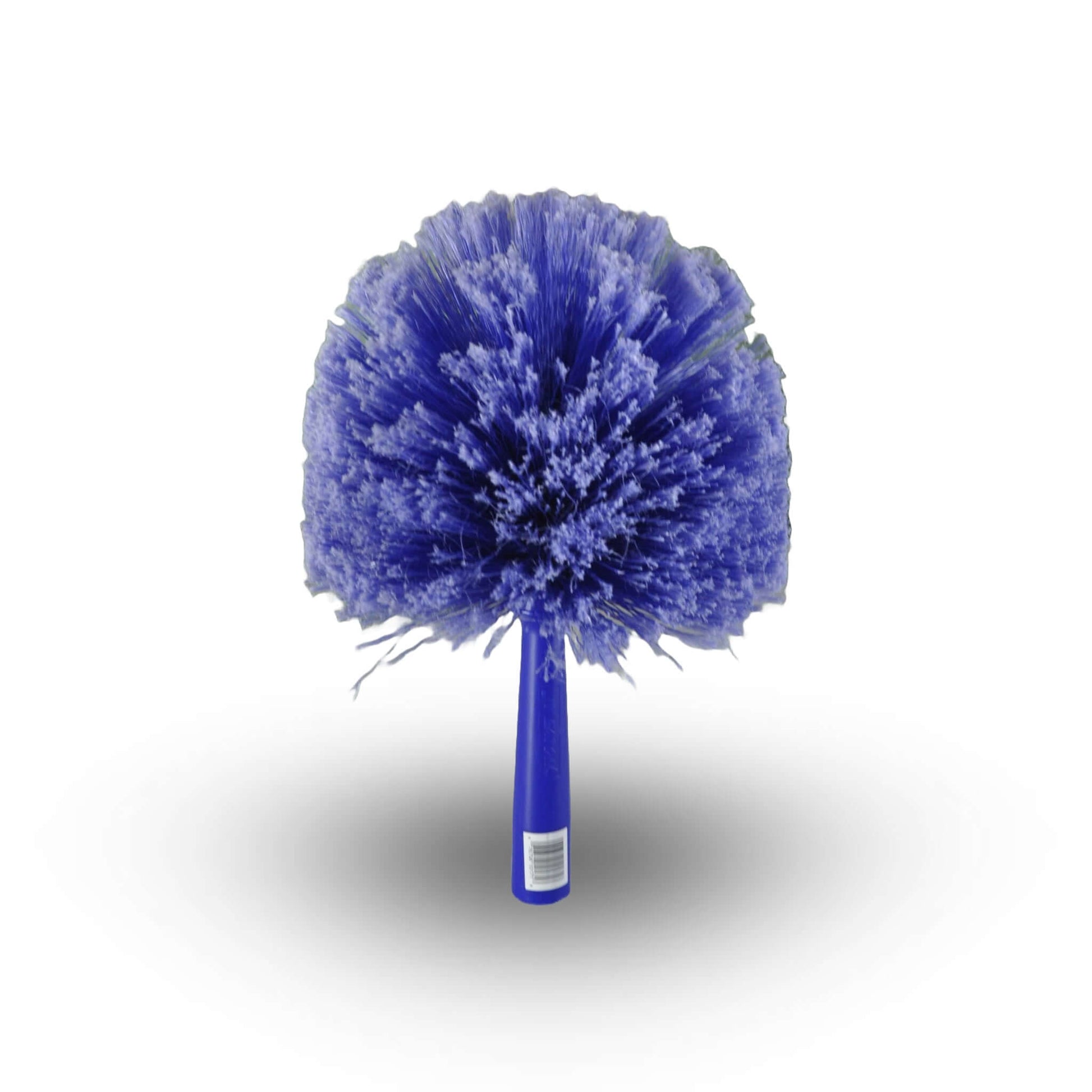 WEBSTER COBWEB, Brosse à Tête Bleu Destructeur de Nid d'Araignées | L'exterminateur en ligne