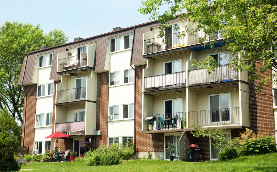 Il pensait avoir la situation sous contrôle… jusqu’à ce que 21 logements soient infesté