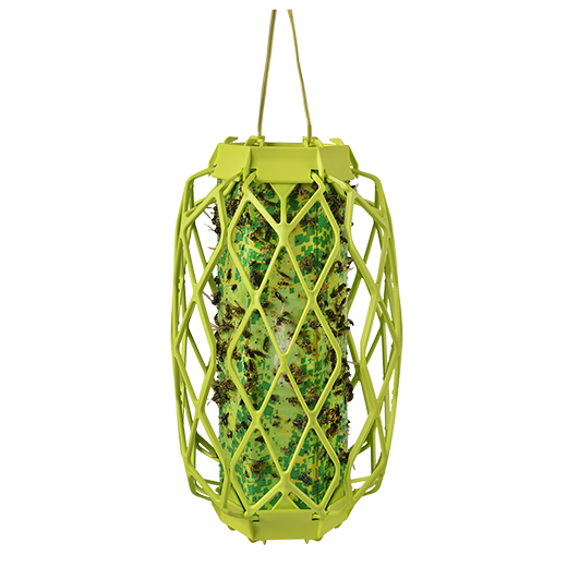 Piège à guêpes RESCUE – TrapStik VisiLure® sans odeur ni pesticide, TSW-BB6-C