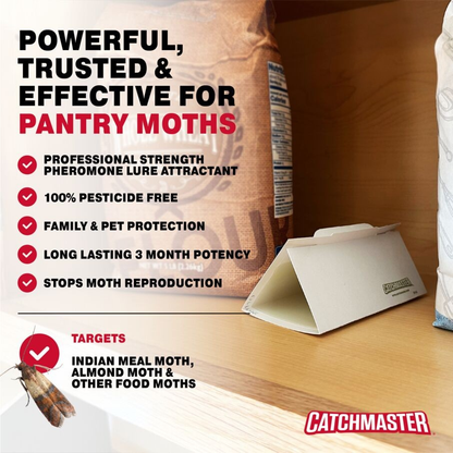 CATCHMASTER, Piège Collant contre les pyrales indienne de la farine