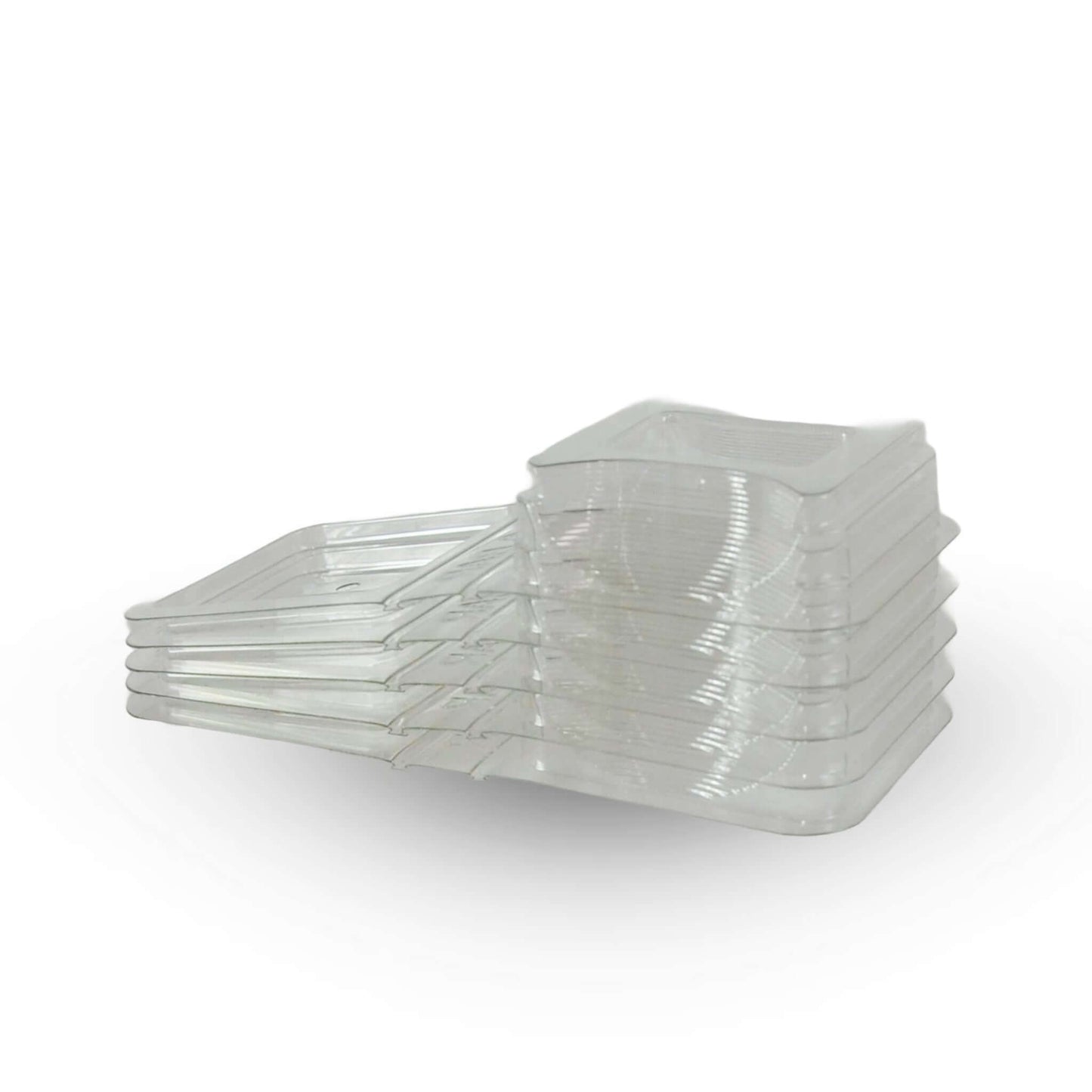 Kit profesional para hormigas - interior y exterior