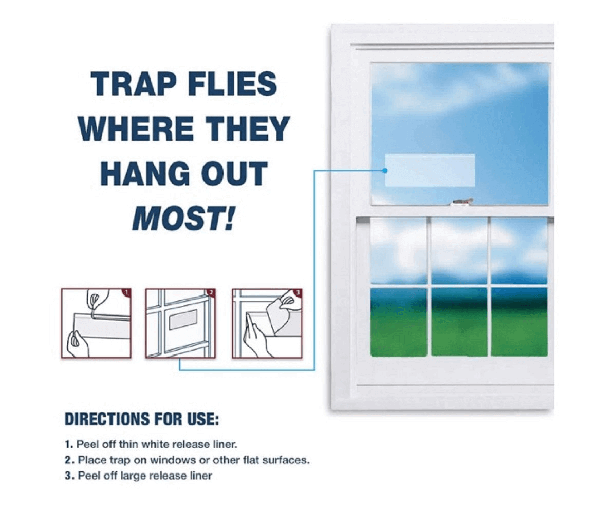 CATCHMASTER, pièges à mouches pour fenêtres, CATCHMASTER, fly traps for windows