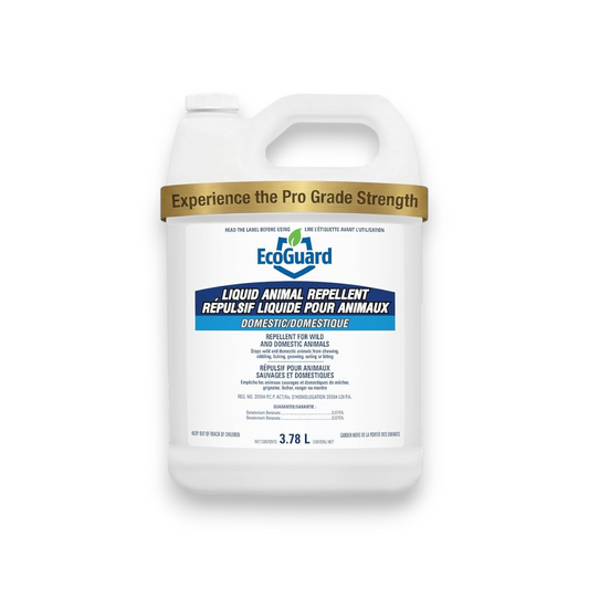 Répulsif liquide pour animaux EcoGuard – 3,78 L, prête à l'emploi