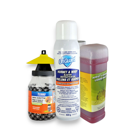 Kit complet contrôle guêpes