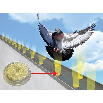 Répulsif visuel pour oiseaux OptiCA – Gel optique multisensoriel, 50 unités/boîte