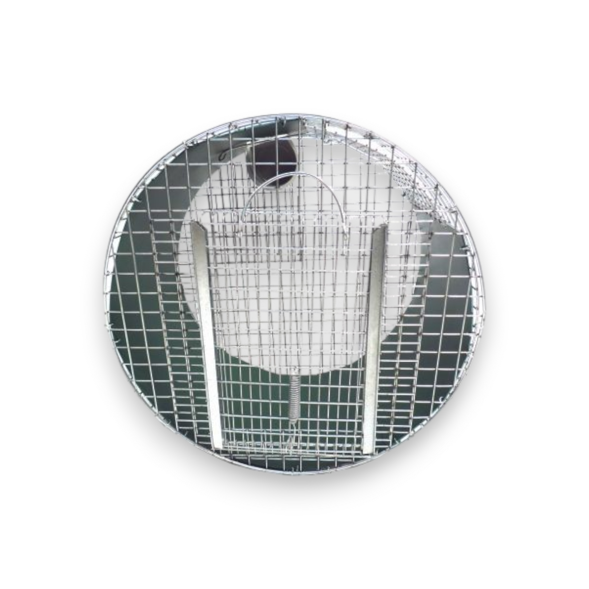 Le piège à rotonde sans cruauté (Roundhouse Trap) – structure circulaire
