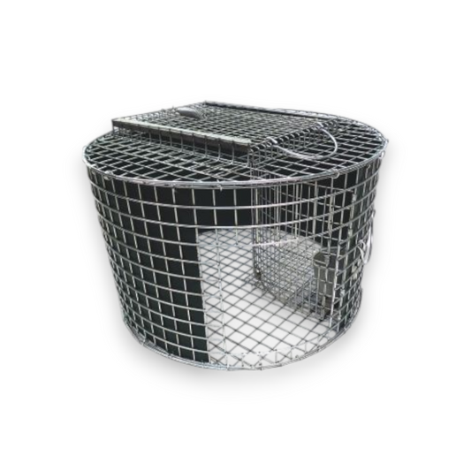 Le piège à rotonde sans cruauté (Roundhouse Trap) – structure circulaire