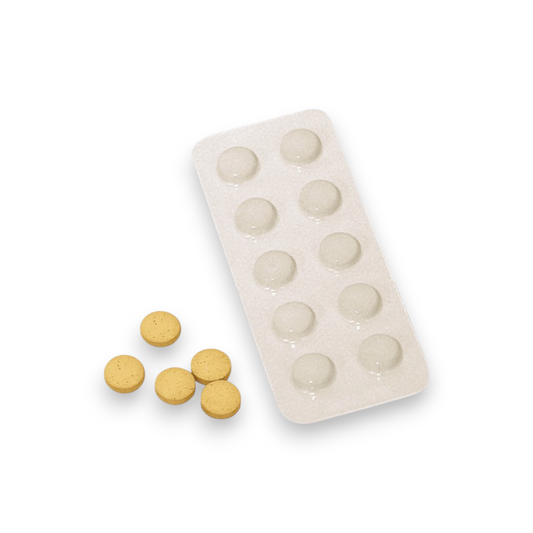 Appât Catchmaster pour cafards – 10 comprimés par paquet