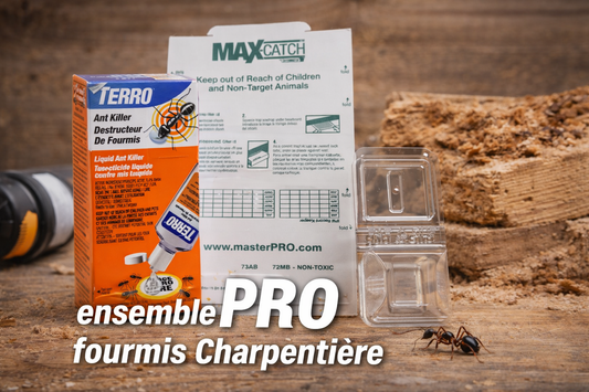 Kit profesional para el tratamiento de hormigas carpinteras