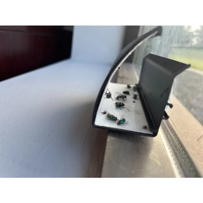 Window Web Gardner – Piège à mouches discret pour rebords de fenêtre - Caisse de 12