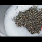 Vidéo explicative RESCUE!, pièges à scarabées japonais réutilisables, RESCUE! explanatory video, reusable Japanese beetle traps
