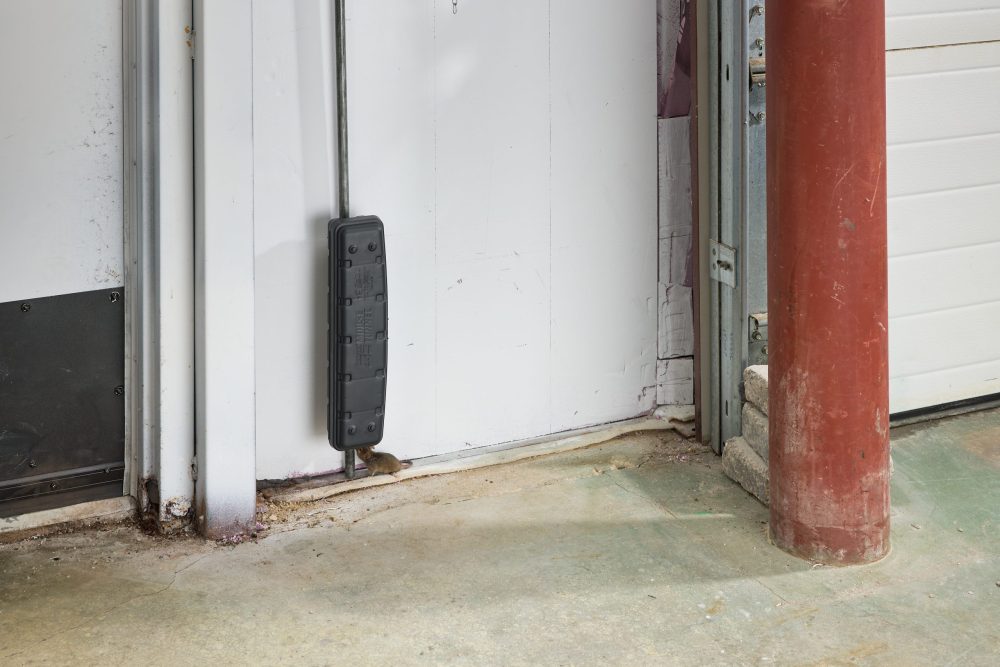 PROTECTA EVO – Tunnel de Protection pour Pièges à Souris mini-Rex sécuritaire pour enfants et animaux