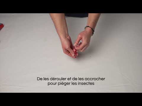 Vidéo explicative du piège parfumé pour mouches catchmaster, Explanatory video of the catchmaster scented fly trap