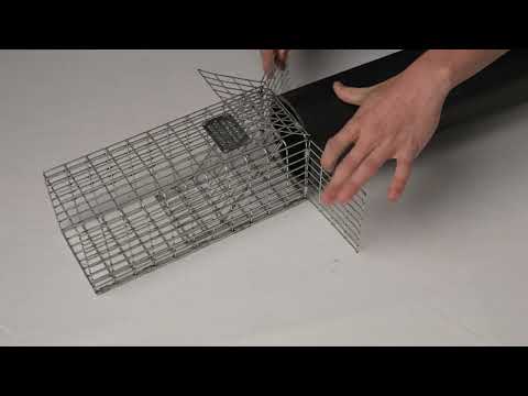 Vidéo explicative de la cage pour écureuil Tomahawk, Tomahawk squirrel cage explanatory video